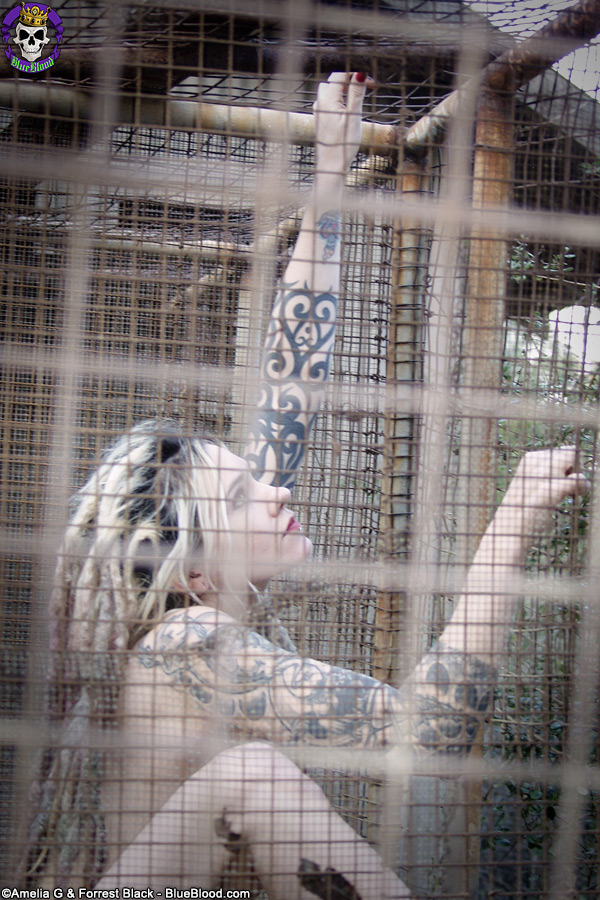 Voltaire Bird Cage